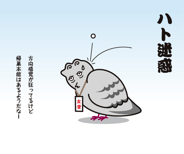 ハト迷惑