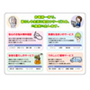 説明図 